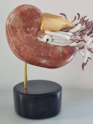 nautile,marbre,sculpture,carzo,galerie résonances,le tréport