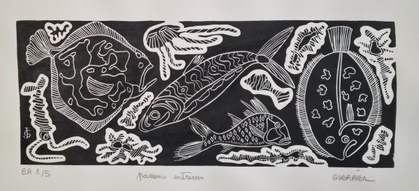 linogravures, gravures, estampes,noir et blanc,poissons,jack guerrier,galerie résonances,le tréport